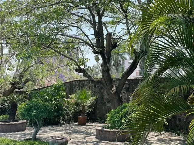 Venta de Casa con uso de suelo comercial y alberca — foto 6
