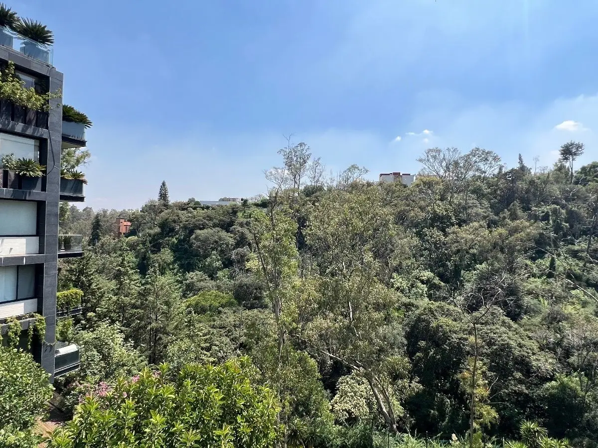 Departamento en venta en Lomas Altas 247 — foto 3