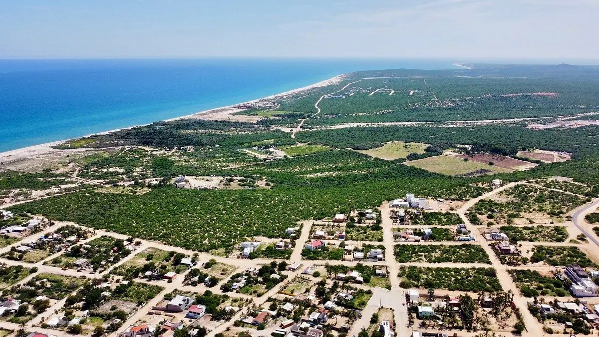La Riberita | La Ribera, Baja California Sur — foto 2