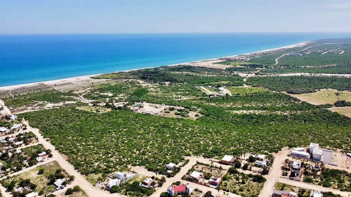 La Riberita | La Ribera, Baja California Sur — foto 4