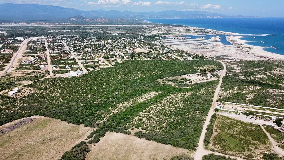 La Riberita | La Ribera, Baja California Sur — foto 5