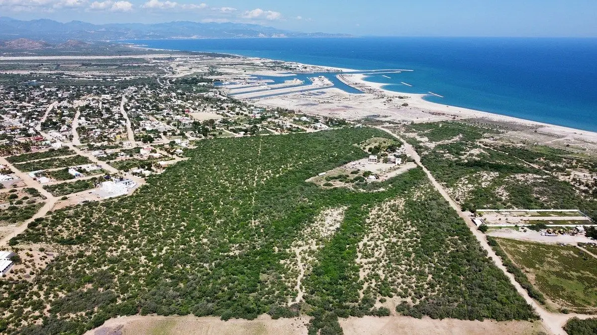 La Riberita | La Ribera, Baja California Sur — foto 6