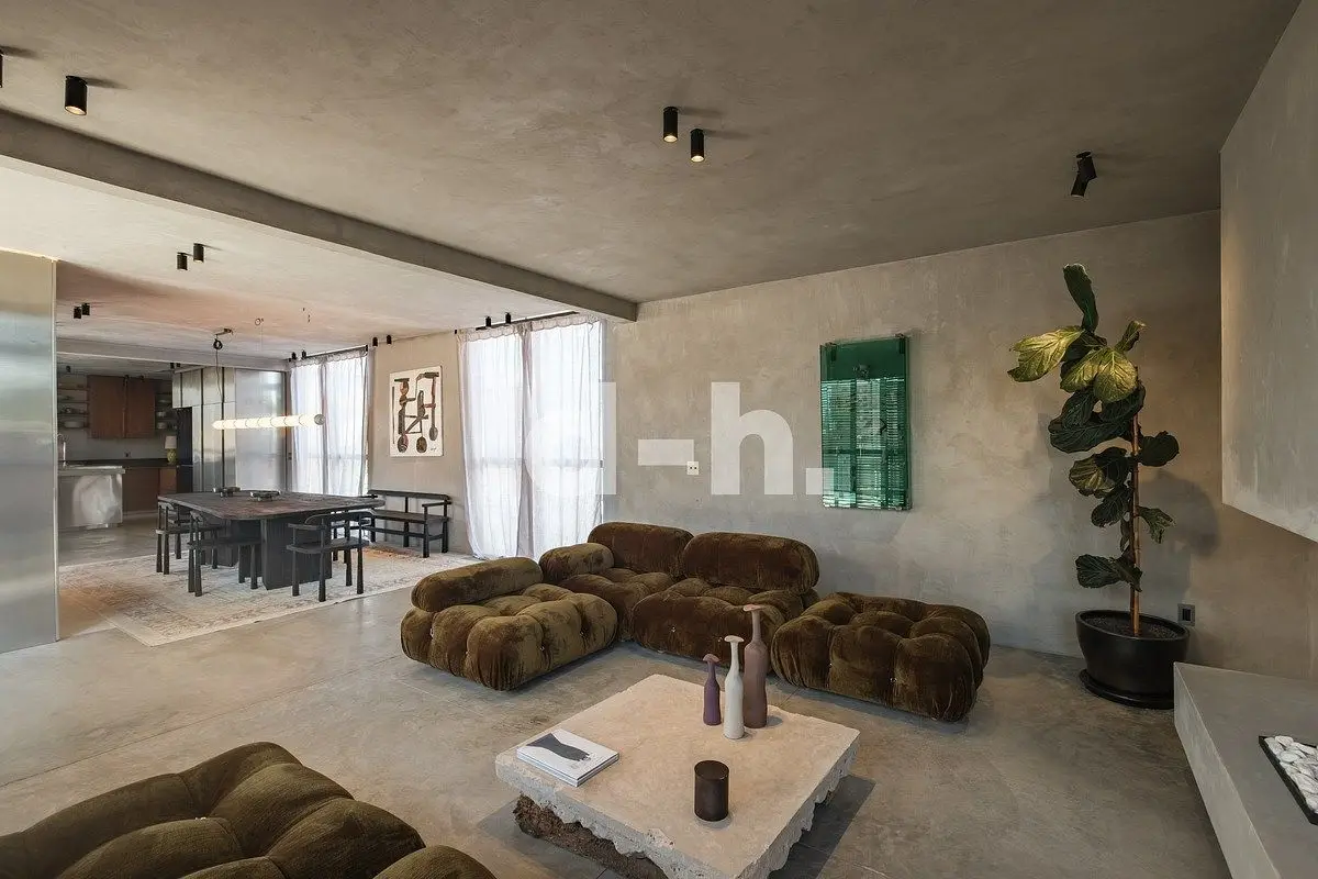 PH Brutalista con dos recamaras y cuatro terrazas en venta — foto 6
