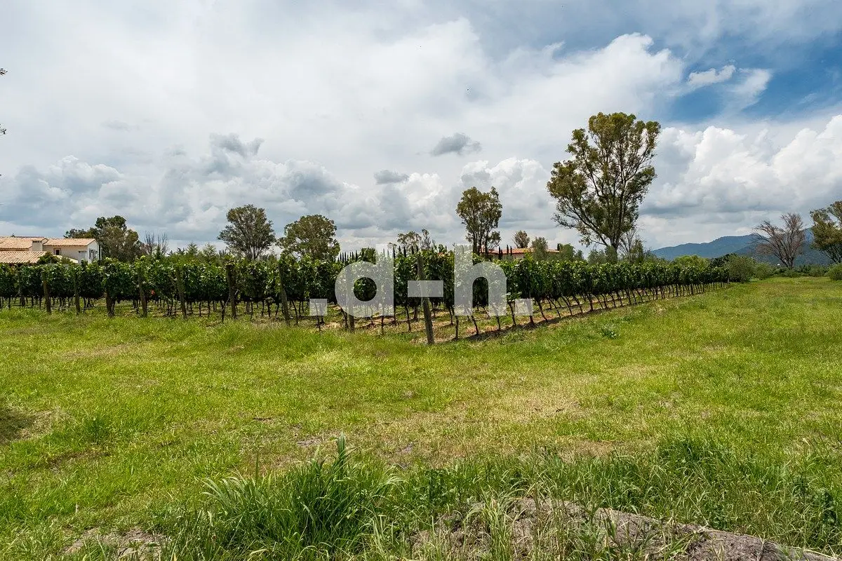 Terreno de 11,862 m² en Viñedos San Lucas | San Miguel de Allende