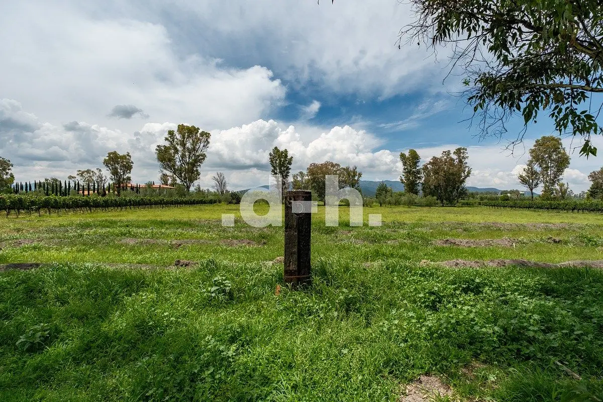 Terreno de 11,862 m² en Viñedos San Lucas | San Miguel de Allende — foto 5