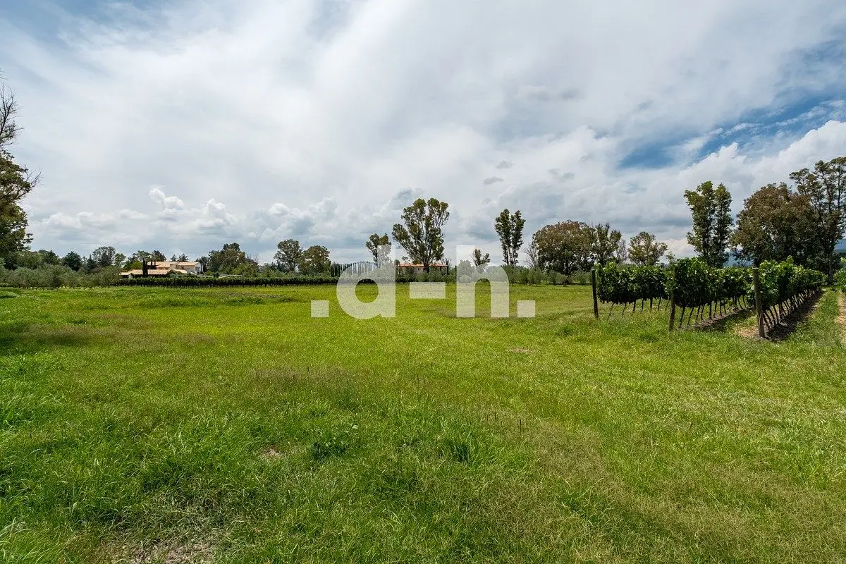 Terreno de 11,862 m² en Viñedos San Lucas | San Miguel de Allende — foto 6
