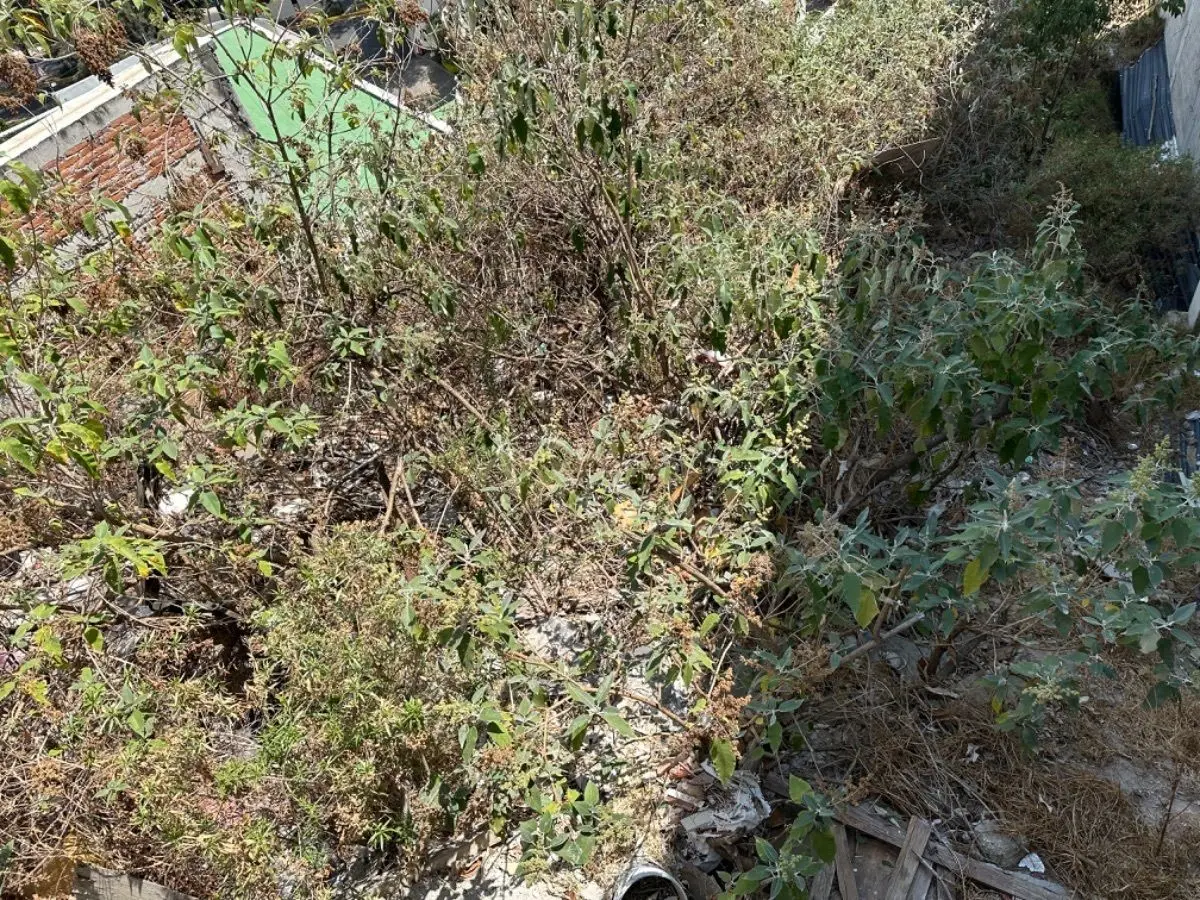 Terreno Lomas de Chamizal, Cuajimalpa de Morelos — foto 3