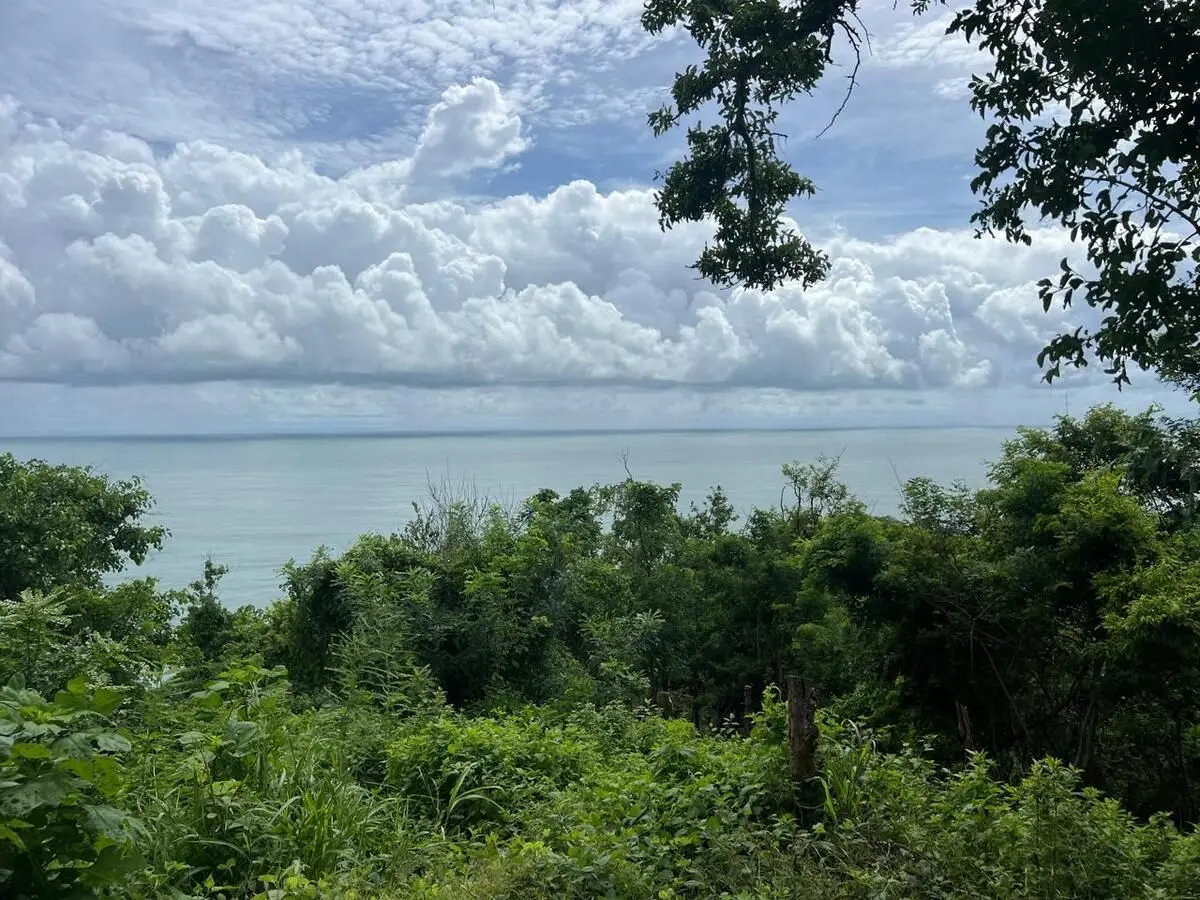 Vendo Hermoso Terreno en la Costa de Oaxaca, mermejita