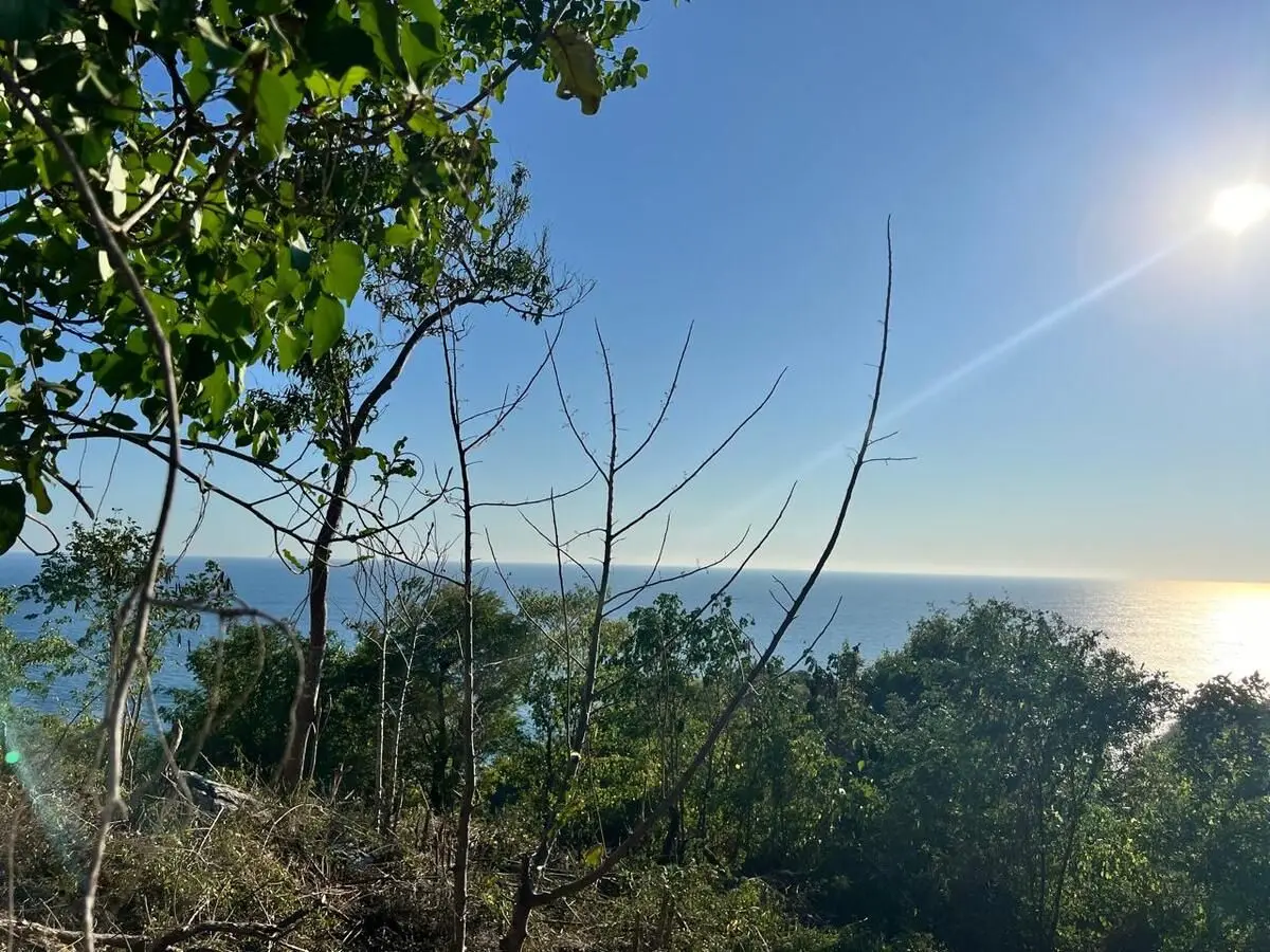 Vendo Hermoso Terreno en la Costa de Oaxaca, mermejita — foto 2