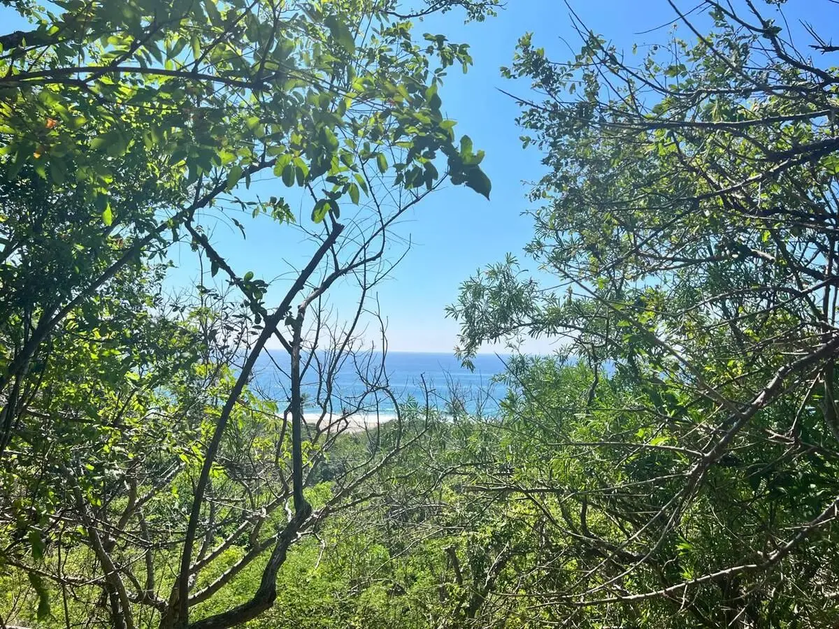 Vendo Hermoso Terreno en la Costa de Oaxaca, mermejita — foto 3
