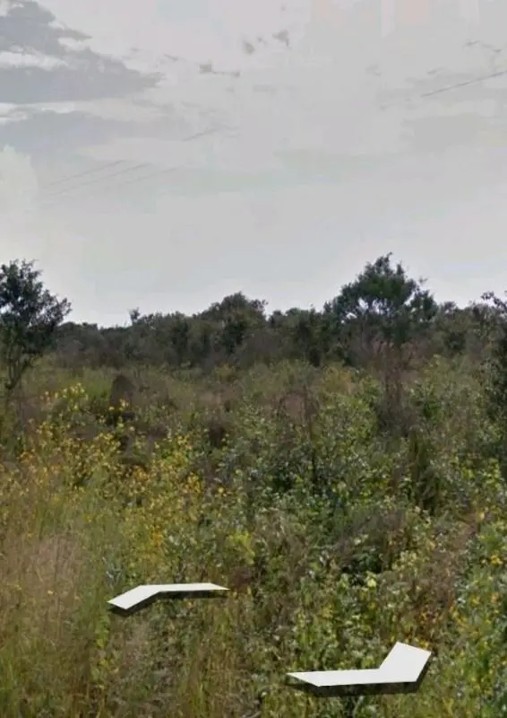 Venta Hermosa Terreno en Yucatan — foto 6