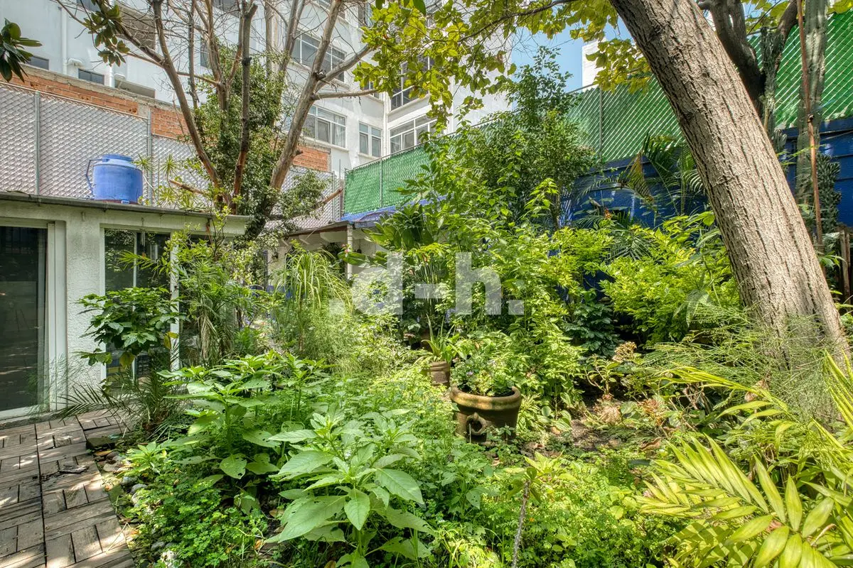 Venta Terreno para desarollar Colonia Cuauhtémoc — foto 5