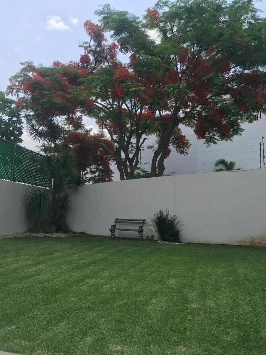 Oportunidad Casa en Venta, Col. Palmira, vigilancia — foto 5