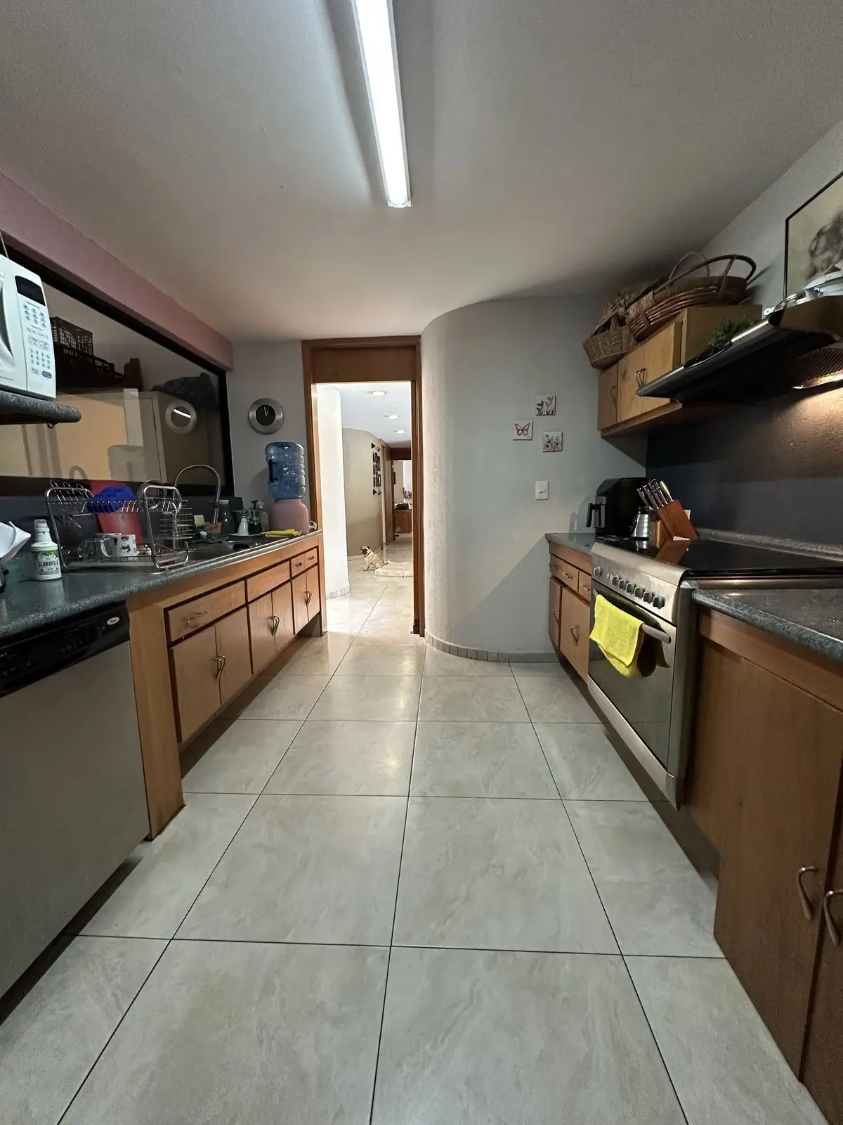 Casa en Venta & Renta, Real Hacienda San José, Sumiya — foto 11