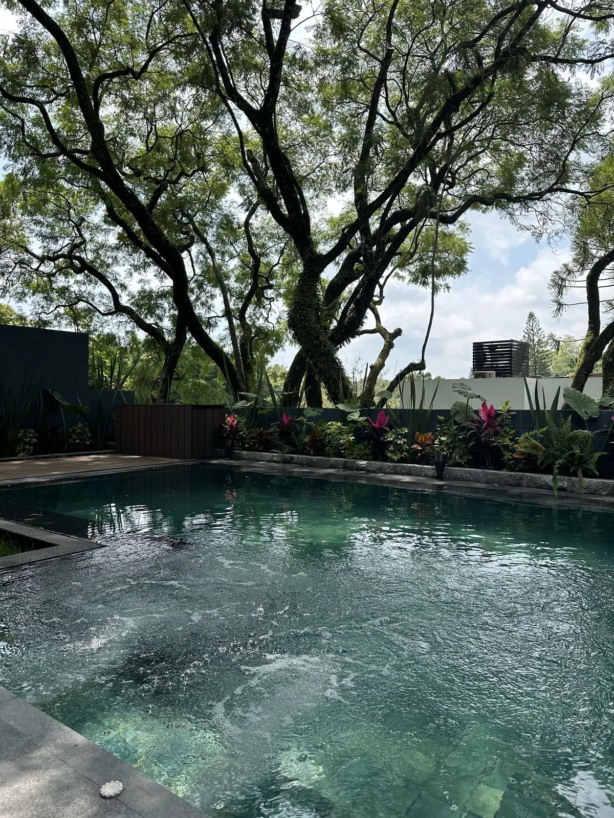 Oportunidad Casa en Venta Nueva en Rancho Cortes, Vigilancia — foto 5