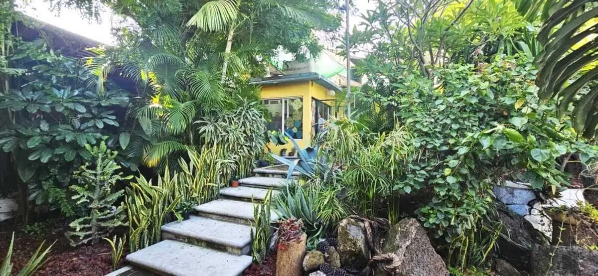 Casa Sola en Venta, Uso de Suelo Mixto en colonia Quintas, Martha — foto 2