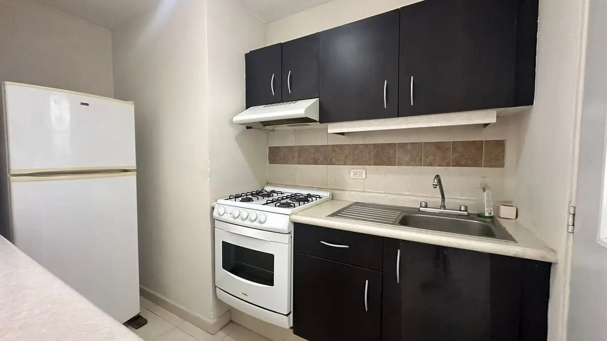 Departamento Amueblado en Renta, Condominio Ls Palomas, Vigilancia — foto 4