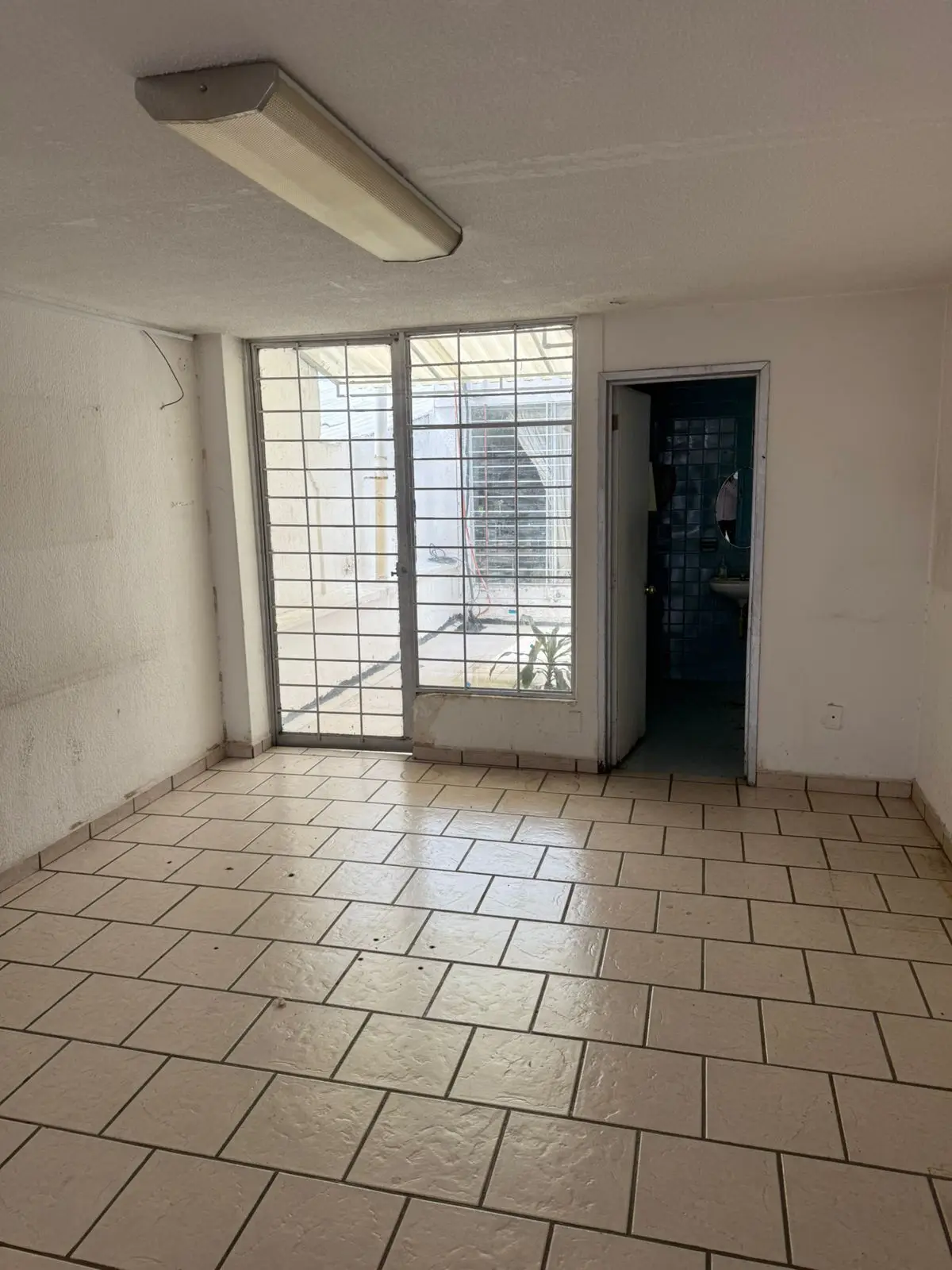 Oficina en Edificio en Glorieta La Luna, Col. Chapultepec — foto 3