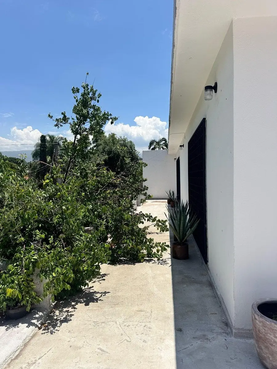 Oficinas en Renta de $3,800 a $6,500 Privada Col. Jacarandas — foto 3