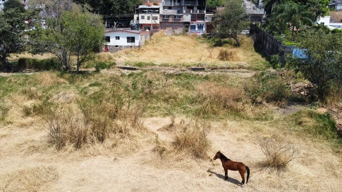 Oportunidad Terreno en Venta, Col. Progreso — foto 3