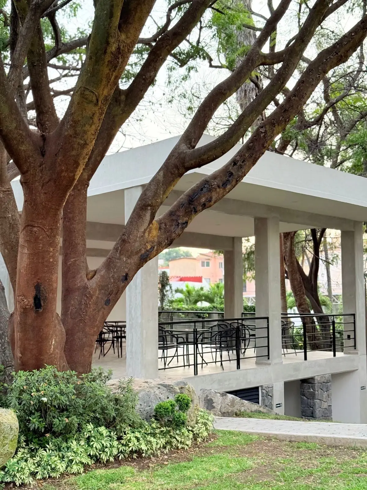 Pre Venta Departamentos, Col. Acapantzingo — foto 4