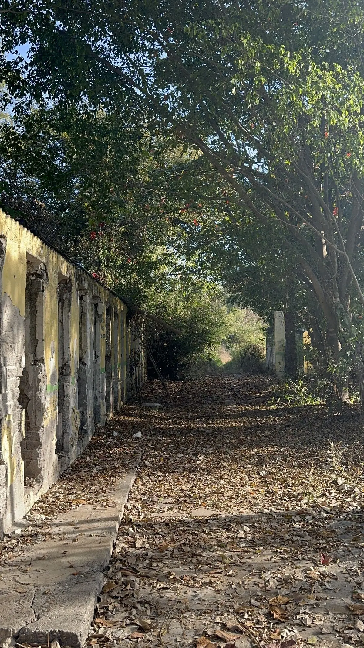 Propiedad en Venta como Terreno, en Xoxocotla, Mor. — foto 2