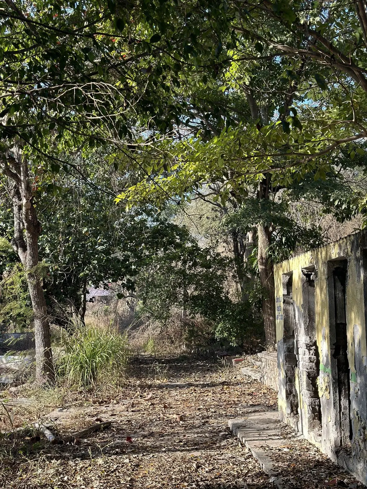 Propiedad en Venta como Terreno, en Xoxocotla, Mor. — foto 3