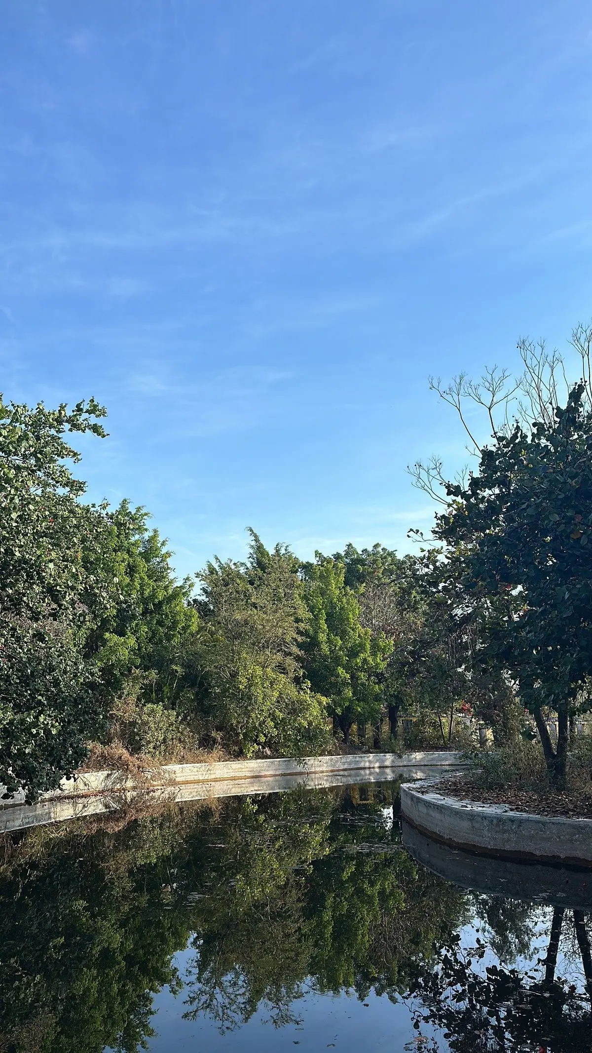 Propiedad en Venta como Terreno, en Xoxocotla, Mor. — foto 4