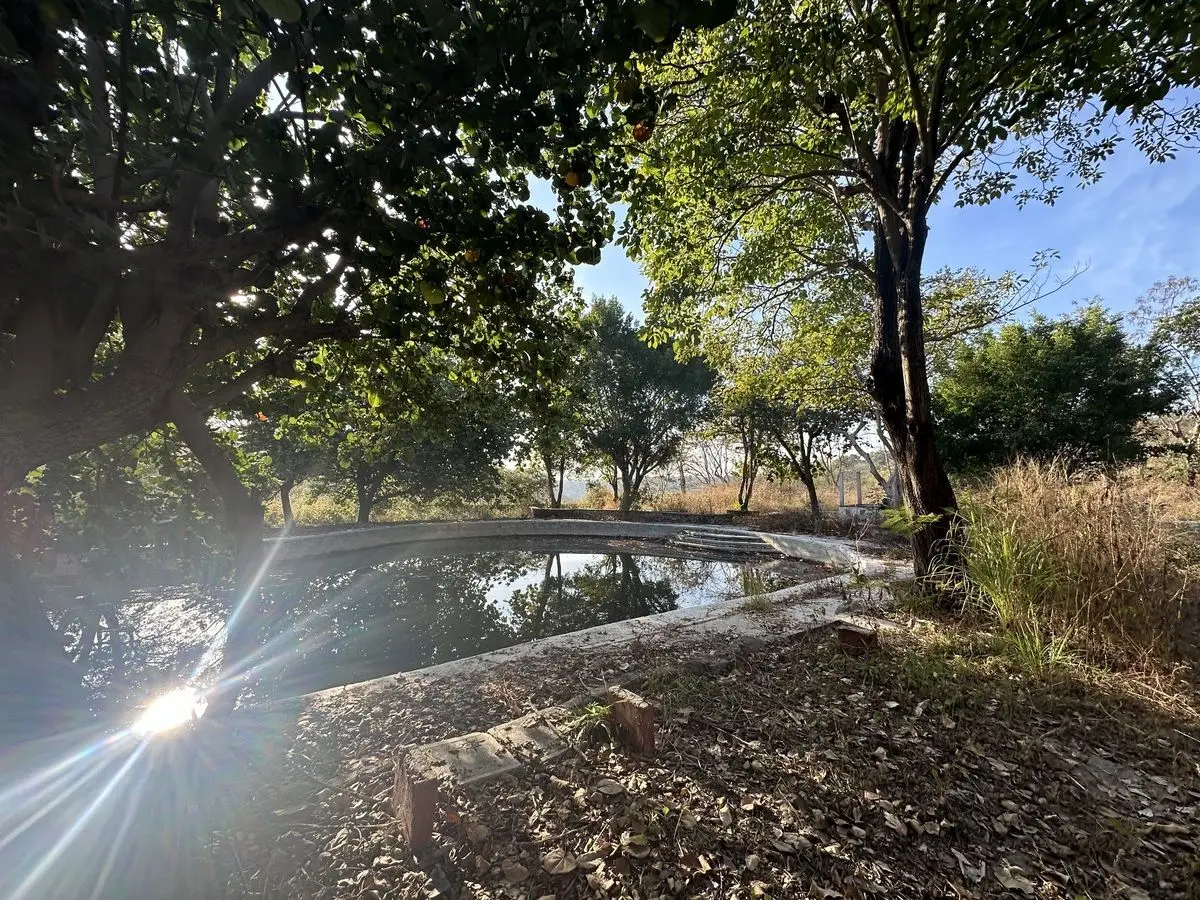 Propiedad en Venta como Terreno, en Xoxocotla, Mor. — foto 5