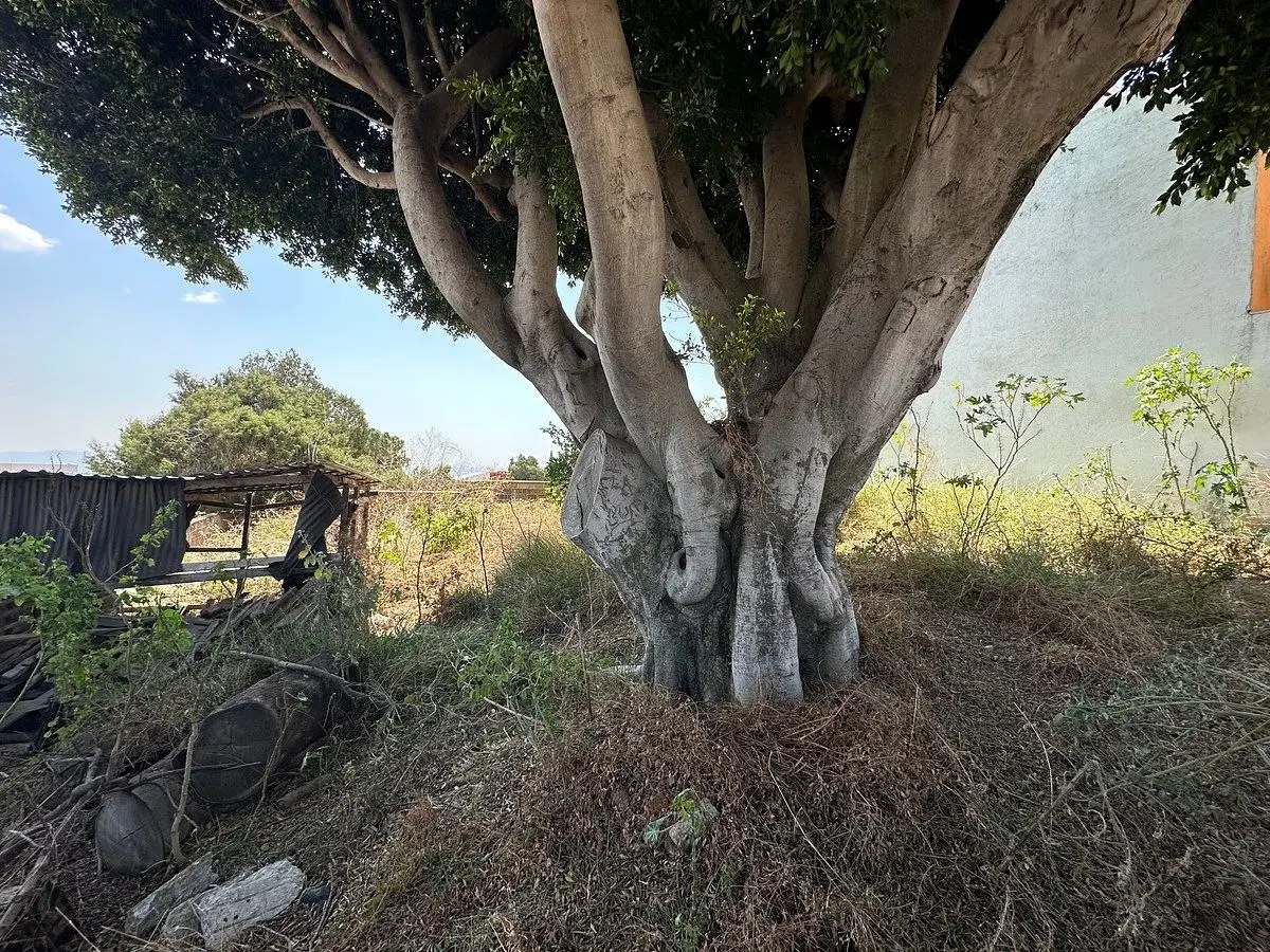 Terreno en Venta al Norte de Cuernavaca, Fracc. en Lomas Tzompantle — foto 7