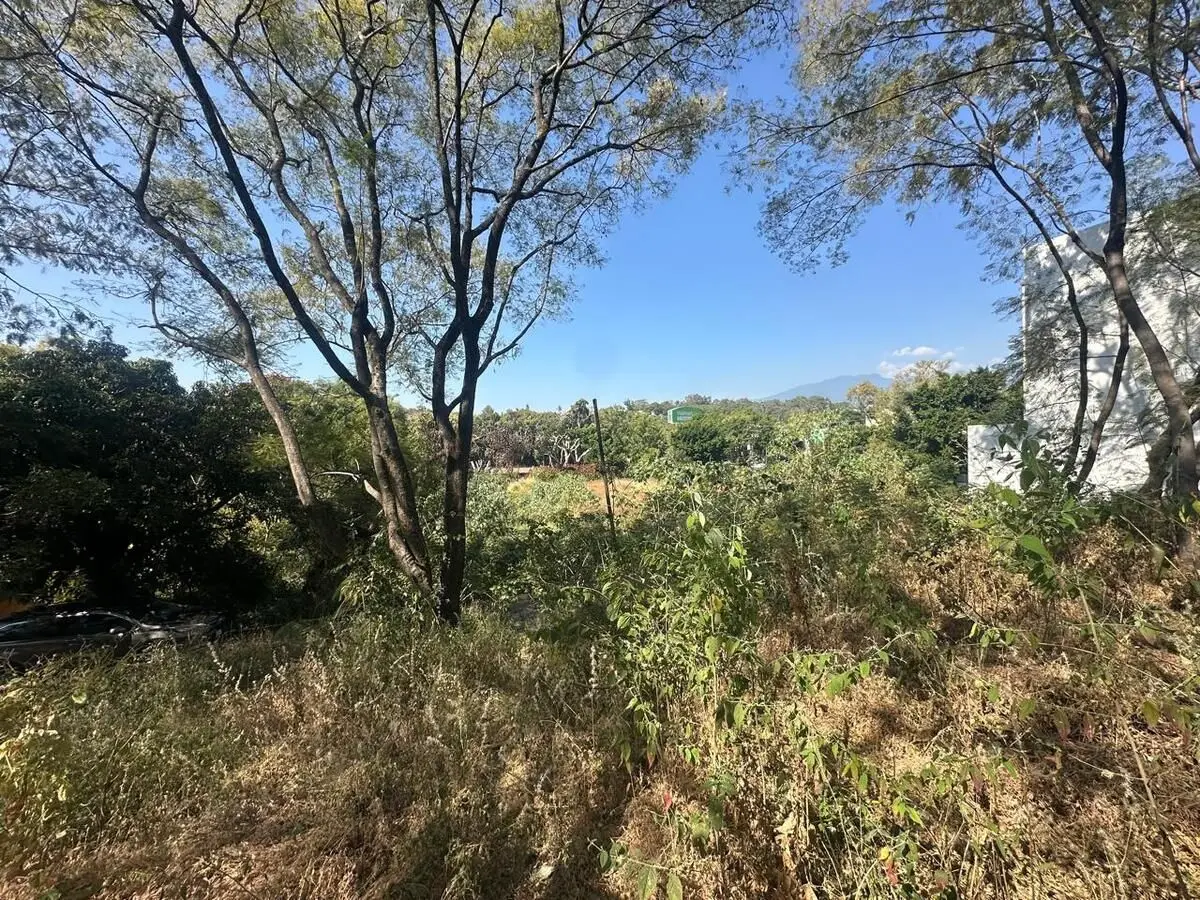 Terreno en Venta en Fracc. Laureles con Vigilancia, Col. La Cañada — foto 4