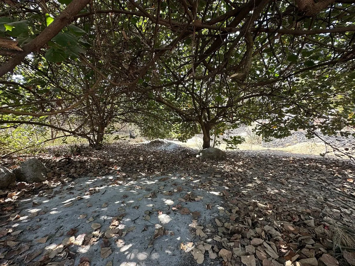Terreno en Venta Fracc. IMURI, Lomas de Jiutepec — foto 5