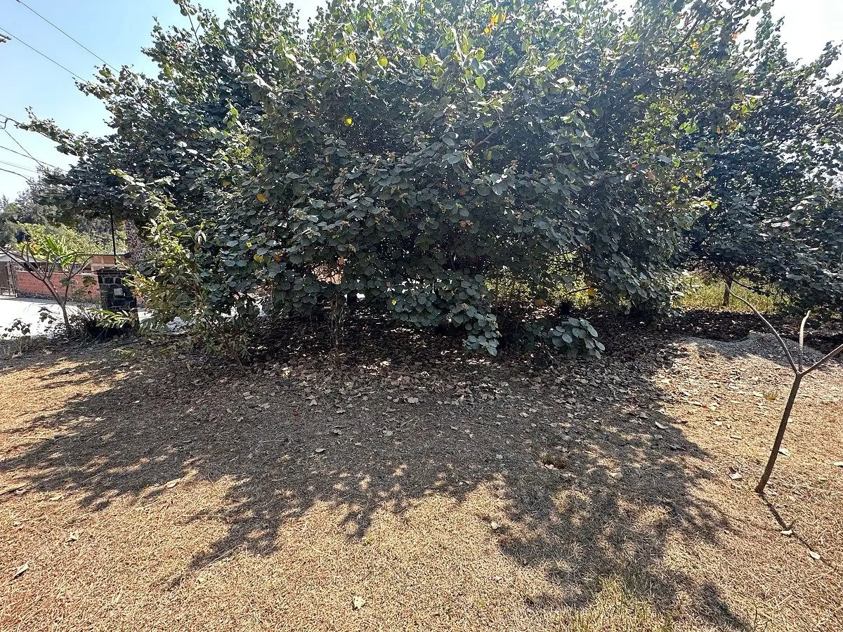 Terreno en Venta Fracc. IMURI, Lomas de Jiutepec — foto 6
