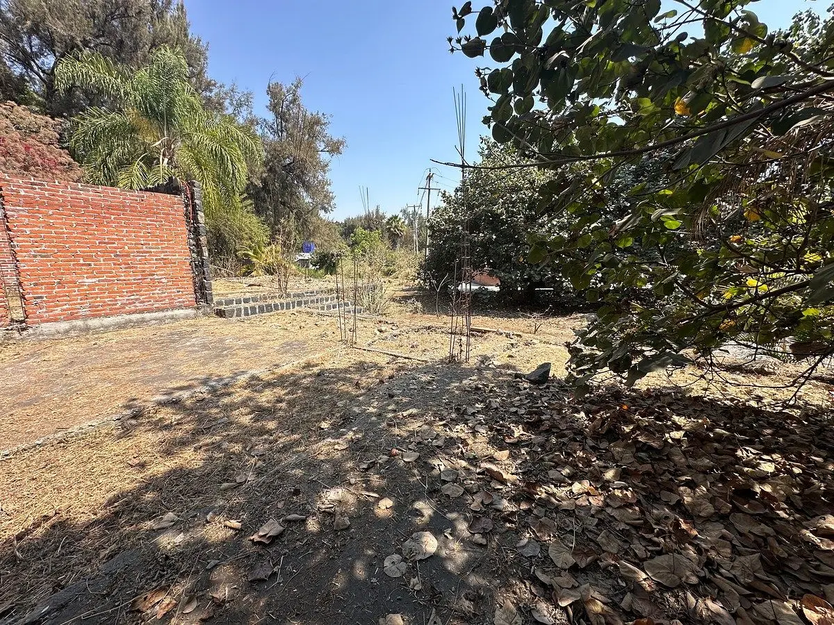 Terreno en Venta Fracc. IMURI, Lomas de Jiutepec — foto 7