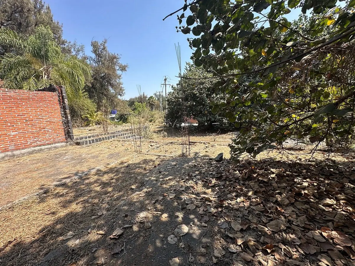 Terreno en Venta Fracc. IMURI, Lomas de Jiutepec — foto 8