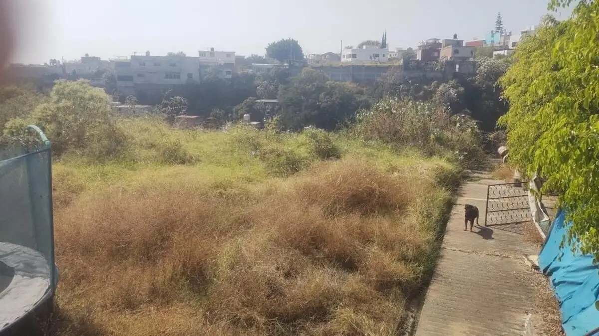Terreno en Zona Norte, Col Tetela del Monte — foto 5