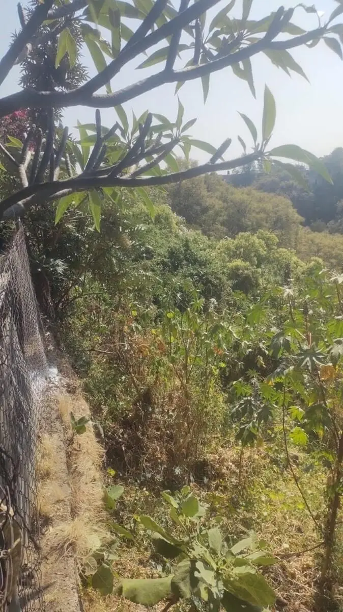 Terreno en Zona Norte, Col Tetela del Monte — foto 6