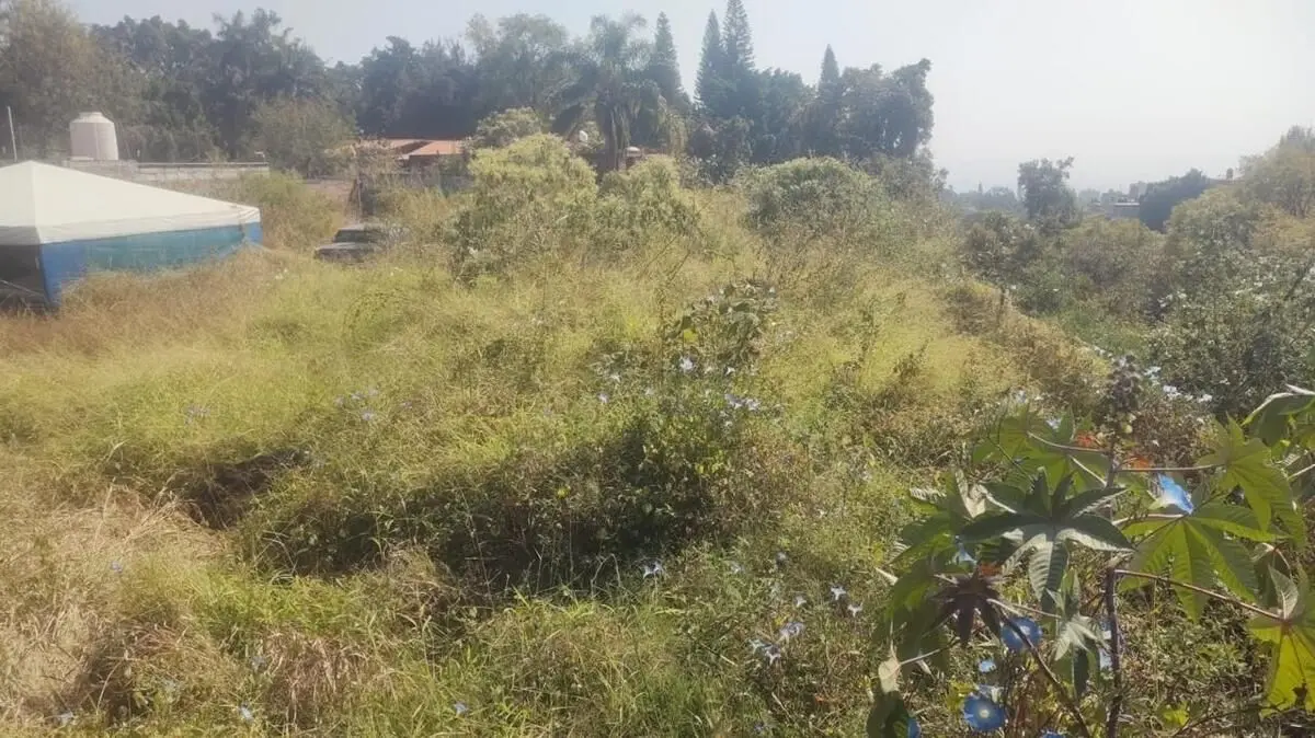 Terreno en Zona Norte, Col Tetela del Monte — foto 7