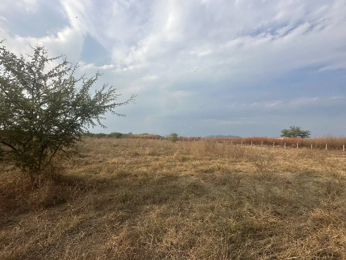 Terreno rústico en venta en Xoxocotla, municipio de Puente Ixtla, Morelos — foto 4