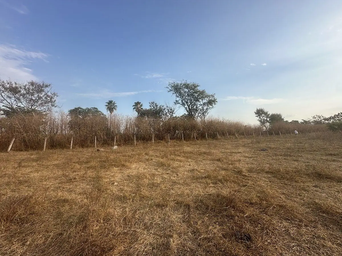 Terreno rústico en venta en Xoxocotla, municipio de Puente Ixtla, Morelos — foto 6