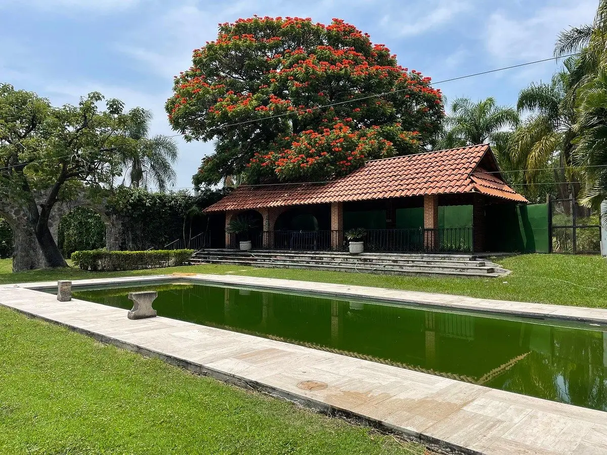 Terrenos en Venta, Centro de Jiutepec, Seguridad 24/7 — foto 4