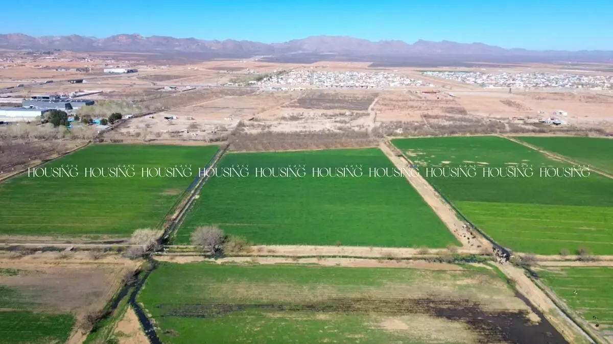 Terreno en Venta Frente a Residencial los Leones de 18 Hectáreas — foto 3