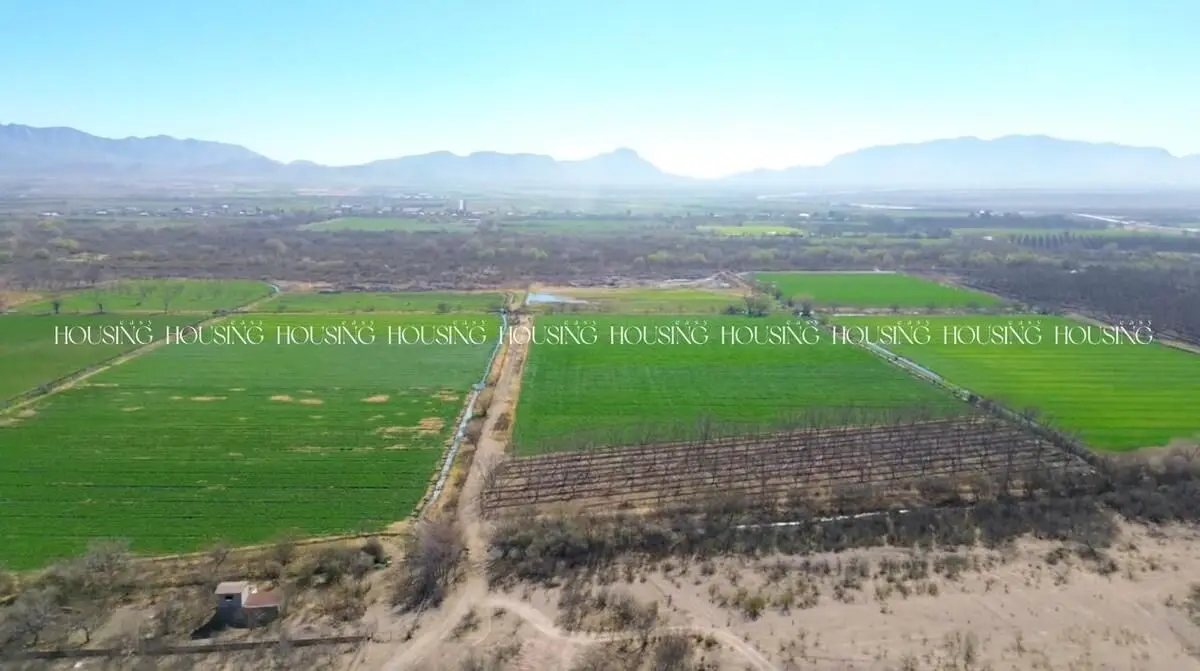 Terreno en Venta Frente a Residencial los Leones de 18 Hectáreas — foto 5