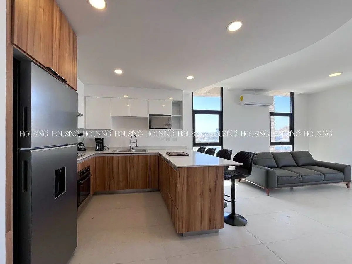 Departamento Nuevo Amueblado y Equipado en Venta en Torre Río Esquina con Pánele — foto 4