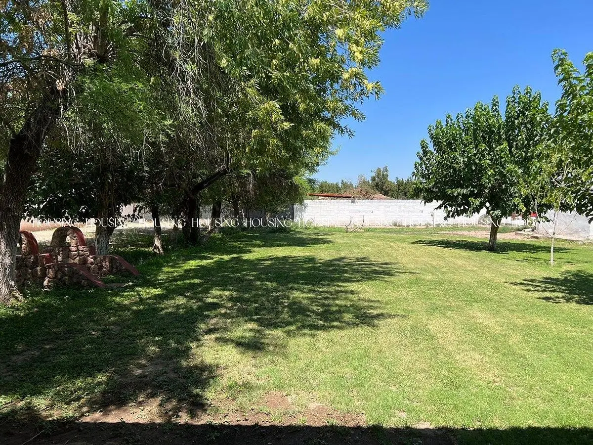 Nogalera en Venta — foto 3