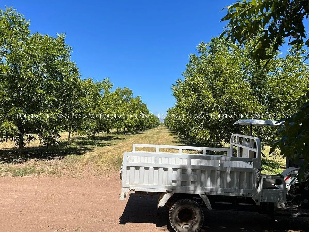 Nogalera en Venta — foto 4