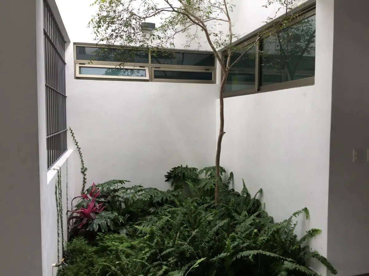 Departamento en Renta Jardines del Bosque — foto 5