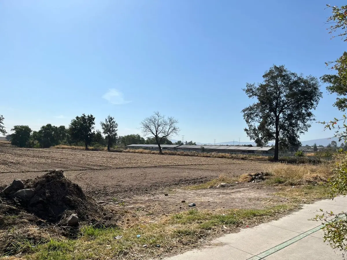 Terreno en Venta Prolongación 8 de Julio Tlajomulco de Zuñiga — foto 6