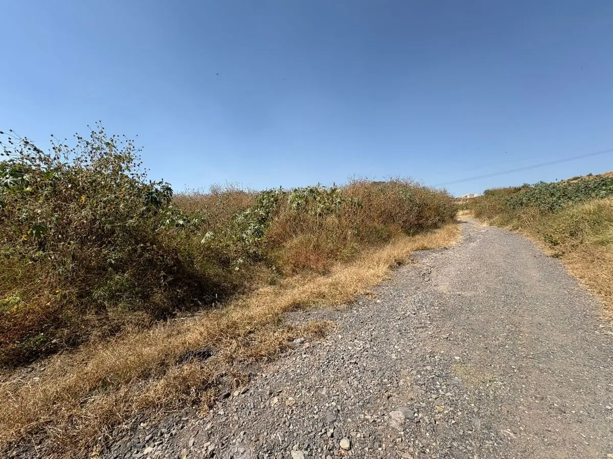 Venta Terreno para Desarrollo o Inversion Tatepozco — foto 3