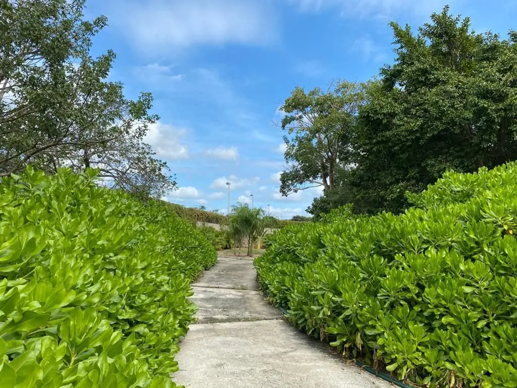 Exclusiva Hacienda en venta cerca de Cabo Norte — foto 4